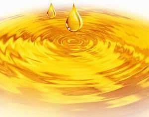 Soybean oil extraction machine